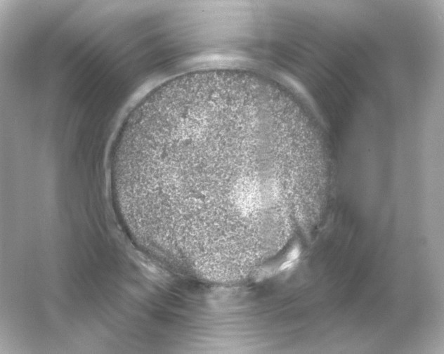 X0000065261419200603172218