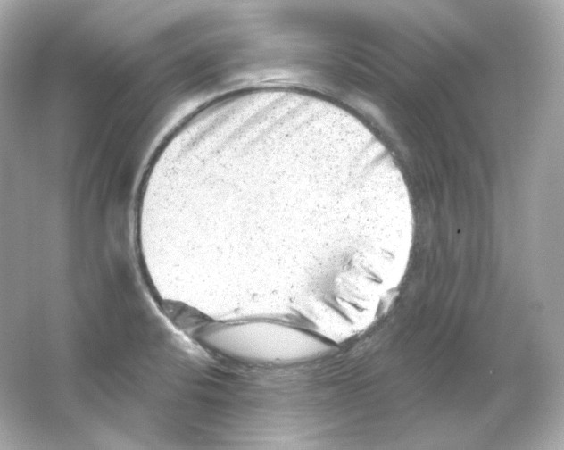 X0000065261424200603172218