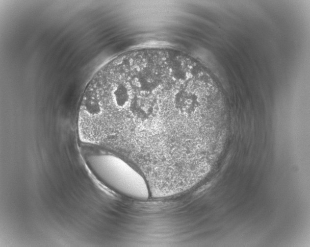 X0000065261425200603172218