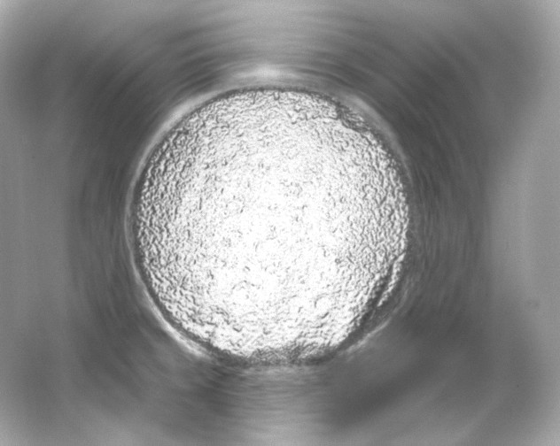 X0000065261429200603172219