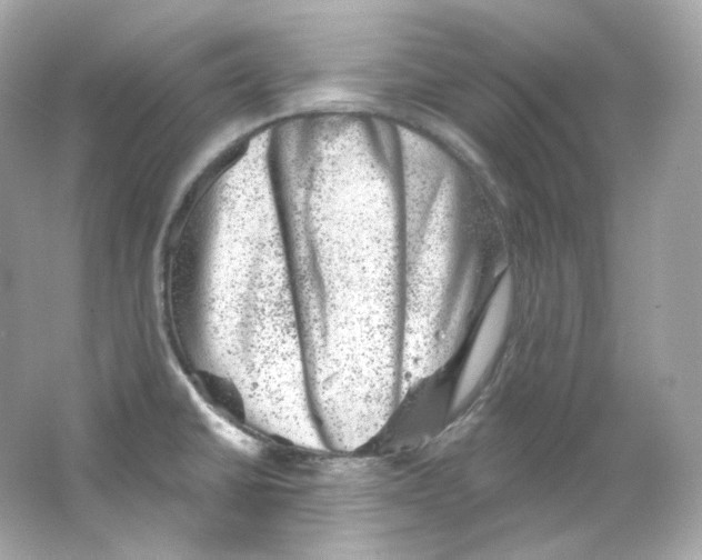 X0000065261430200603172219