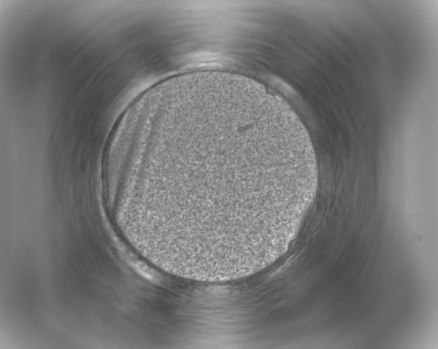 X0000065261431200603172219