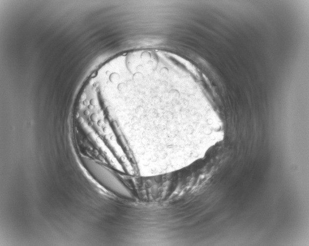 X0000065261432200603172219