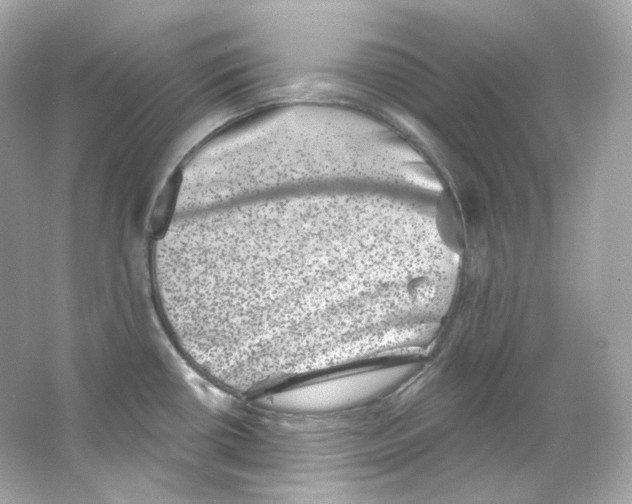 X0000065261434200603172219