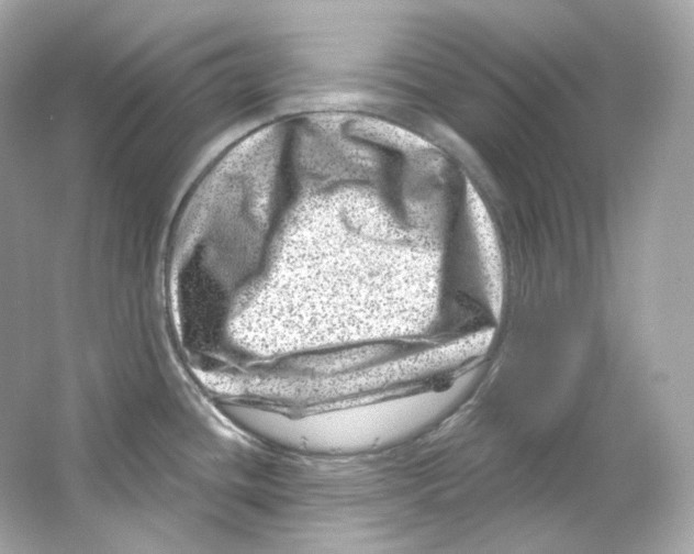 X0000065261436200603172219