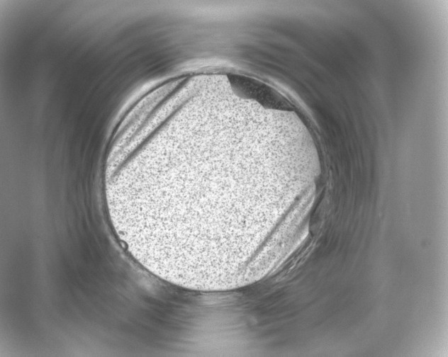 X0000065261440200603172219