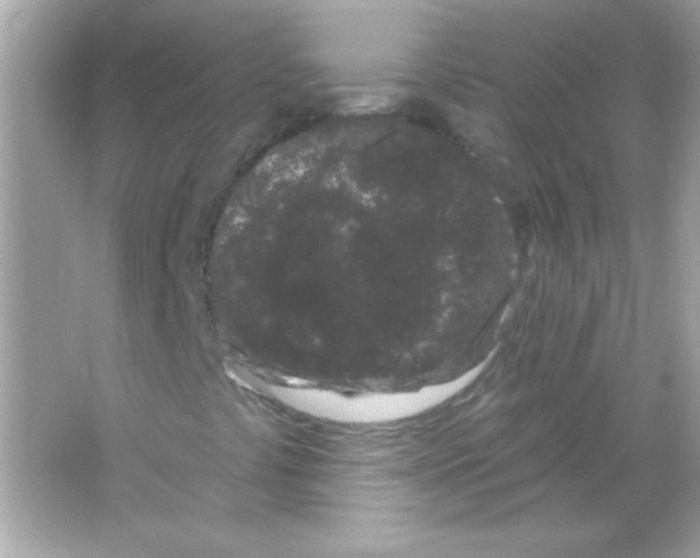 X0000065261441200603172218