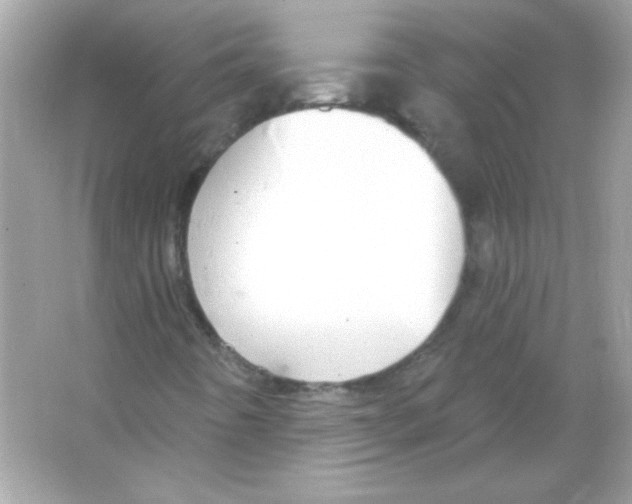 X0000065261442200603172218