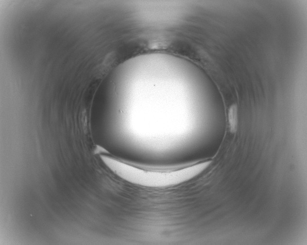 X0000065261443200603172218