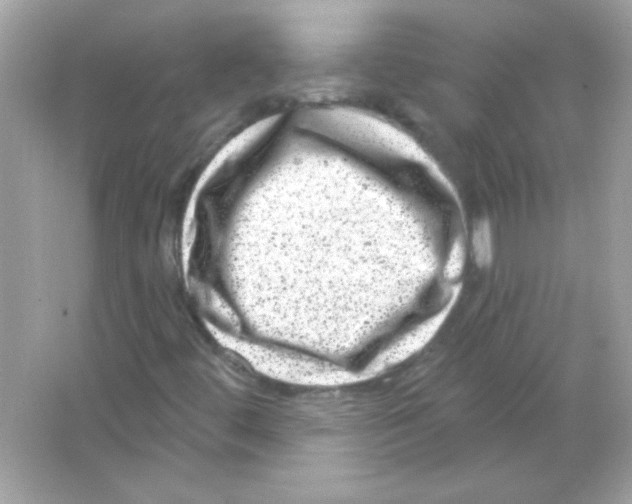 X0000065261444200603172218