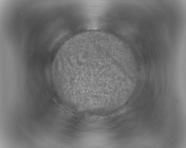 X0000065261446200603172218