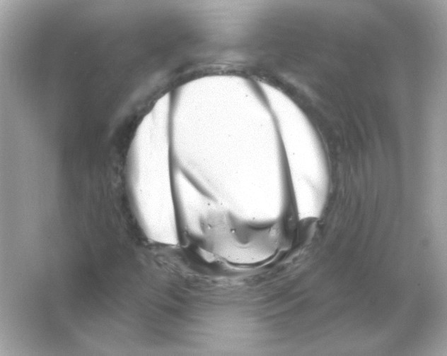 X0000065261447200603172218