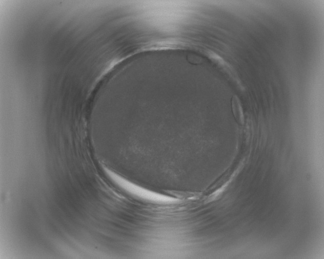 X0000065261449200603172218