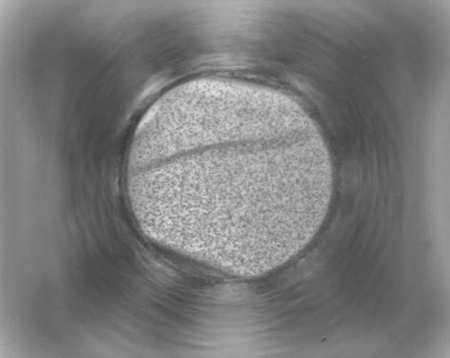 X0000065261451200603172218