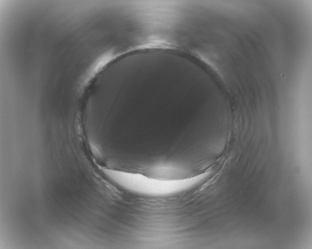 X0000065261455200603172218