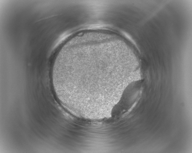 X0000065261456200603172218