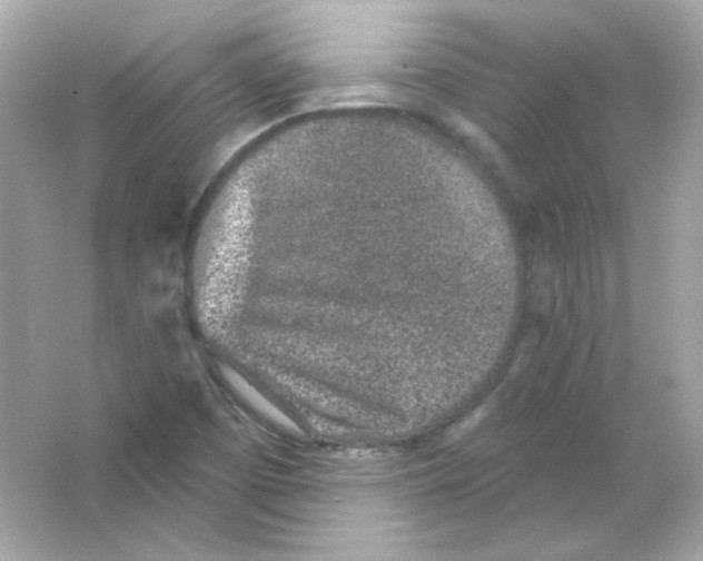 X0000065261457200603172218