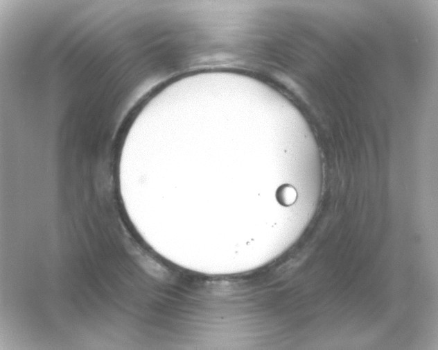 X0000065261458200603172218