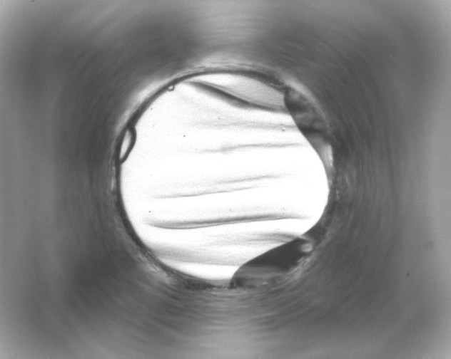 X0000065261461200603172218