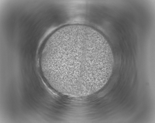 X0000065261462200603172218