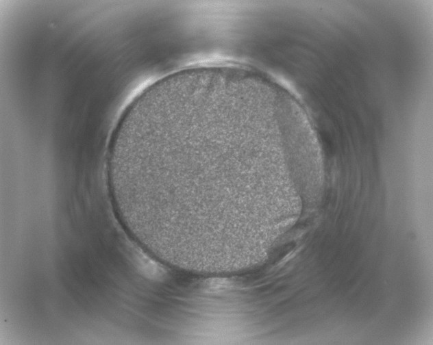 X0000065261463200603172218