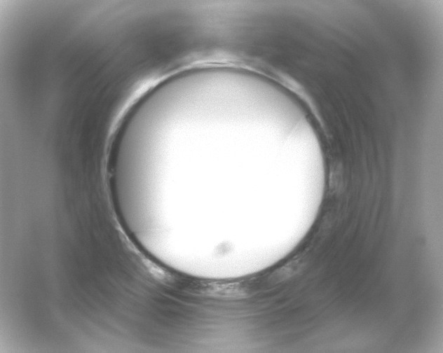 X0000065261464200603172218