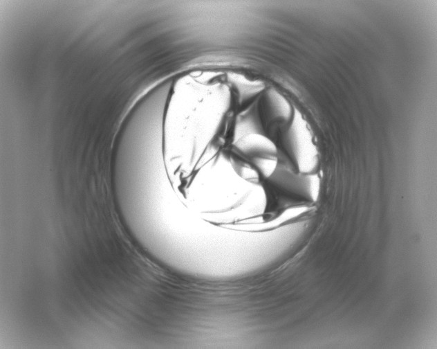 X0000065261465200603172218