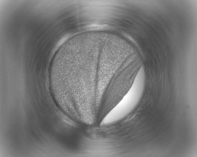 X0000065261467200603172217