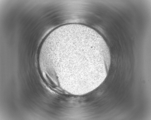 X0000065261468200603172217