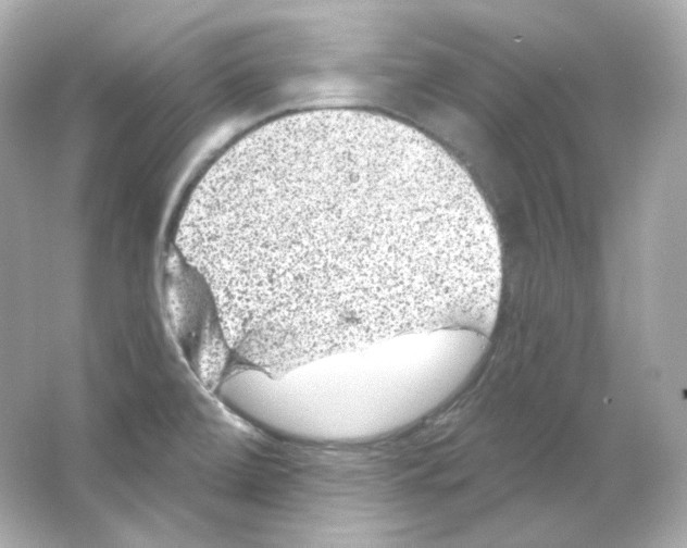 X0000065261472200603172217