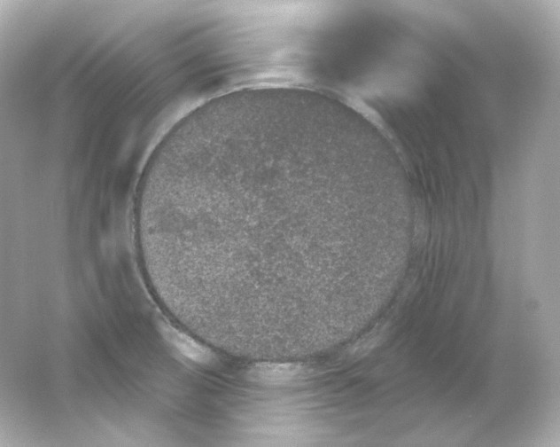 X0000065261474200603172217