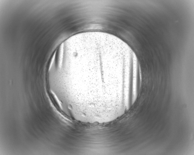 X0000065261475200603172217