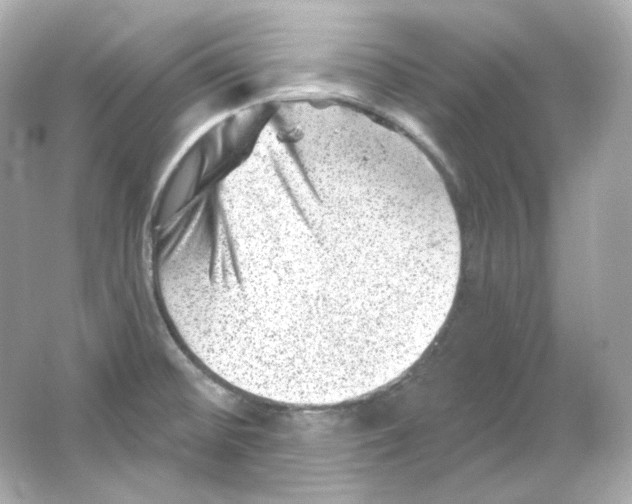 X0000065261476200603172217