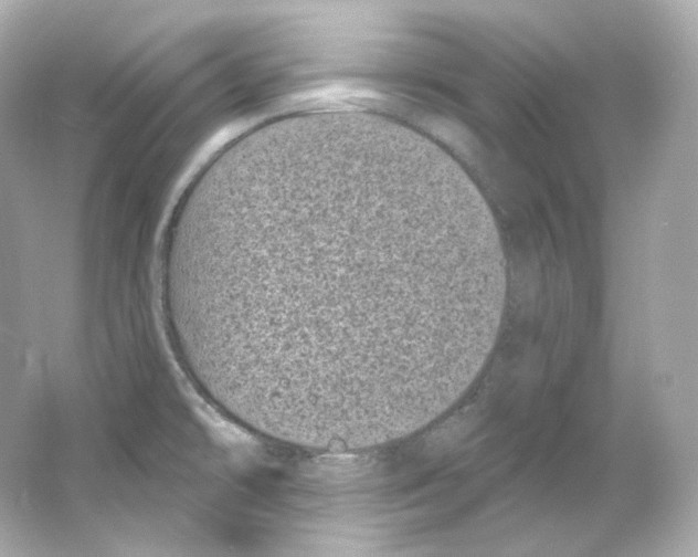 X0000065261478200603172217