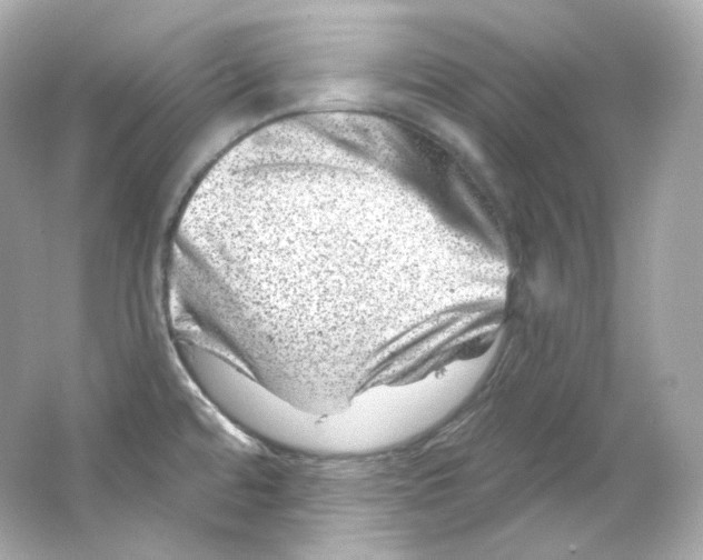 X0000065261480200603172217