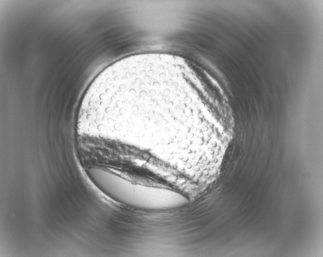 X0000065261483200603172217