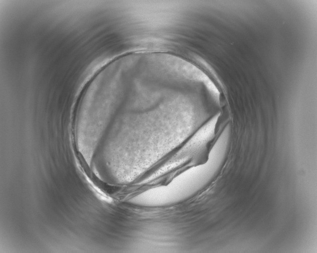 X0000065261485200603172217