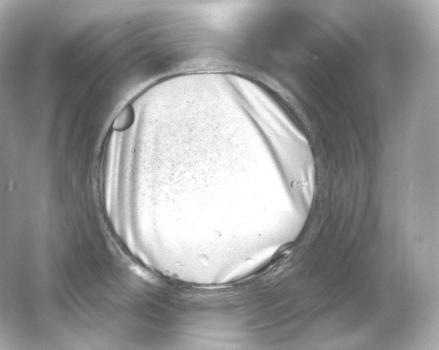 X0000065261486200603172217