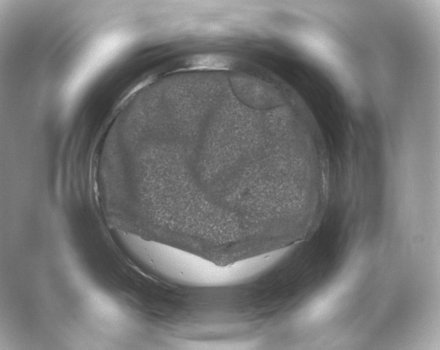 X0000065261487200603172217