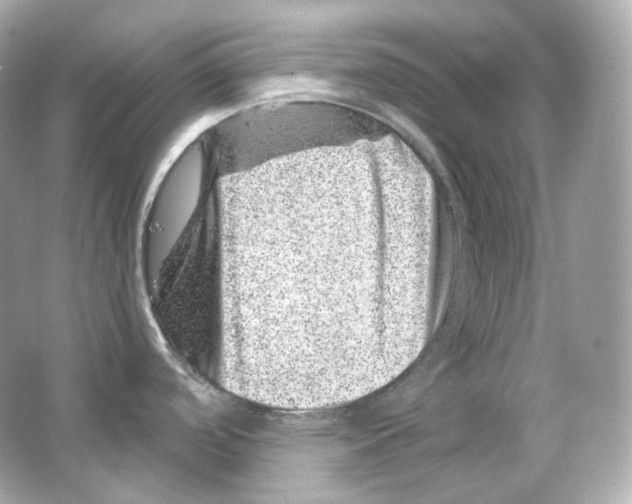 X0000065261488200603172217