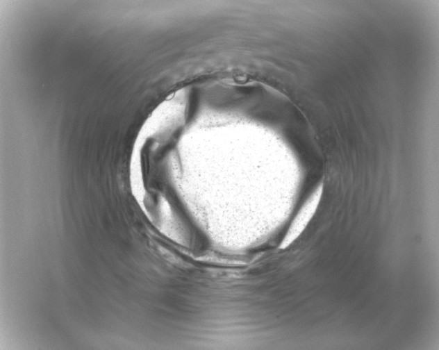 X0000065261490200603172216