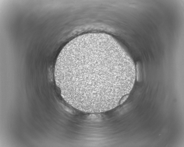 X0000065261491200603172216