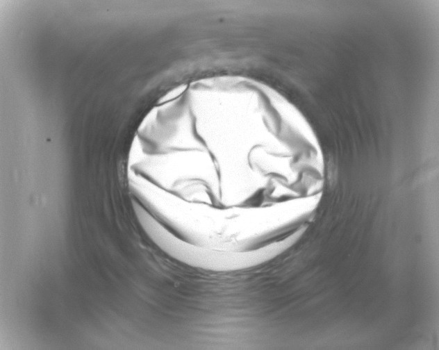 X0000065261492200603172216