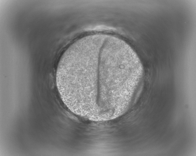 X0000065261493200603172216