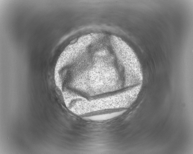 X0000065261494200603172216