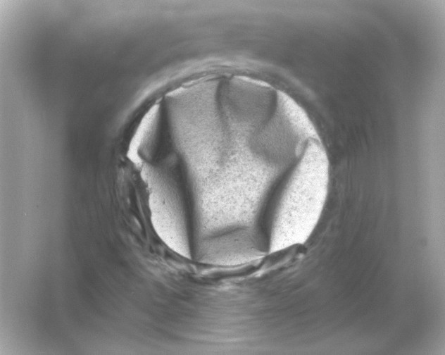 X0000065261496200603172216