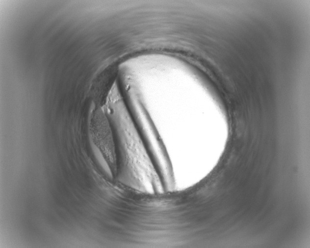 X0000065261497200603172216