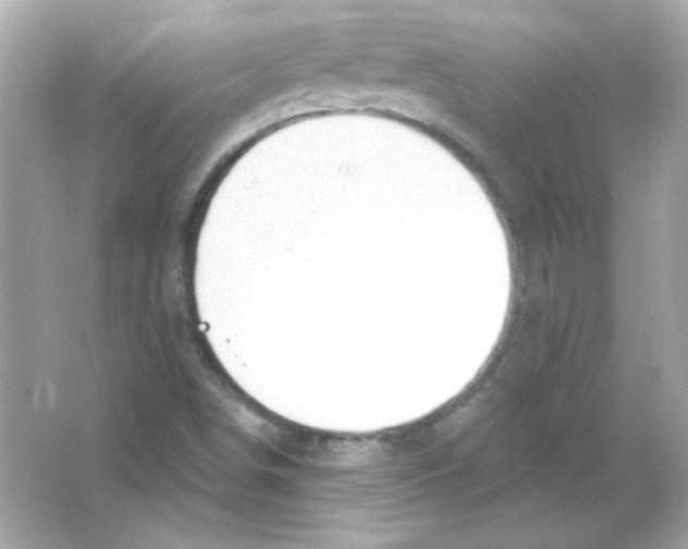 X0000065261498200603172216