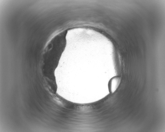 X0000065261501200603172217