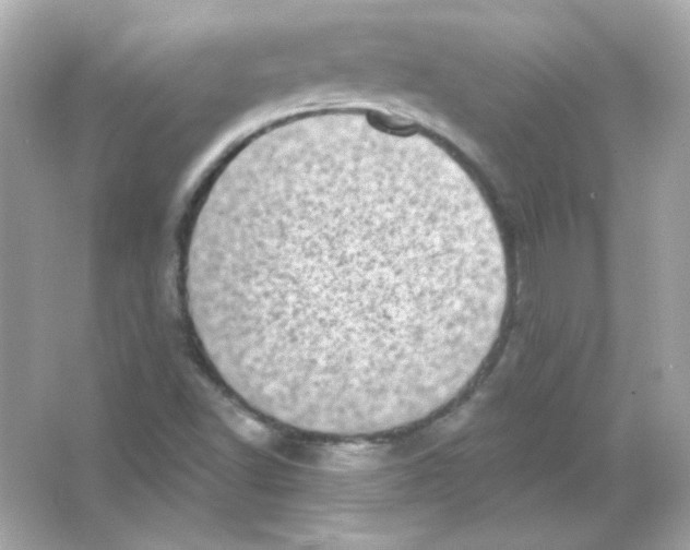 X0000065261502200603172217